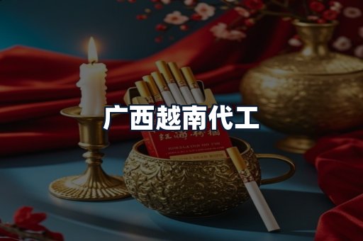 广西越南代工